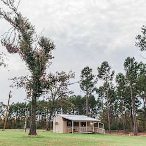 Nestled in a field of pines, Julia's cottage int the background.