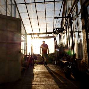 Walking out of the greenhouse toward the ocean.