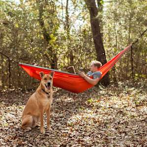 Bring the dog, pets are allowed!