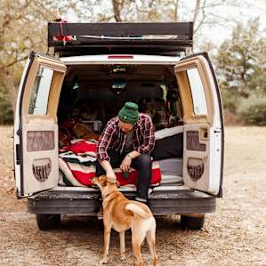 people dog van