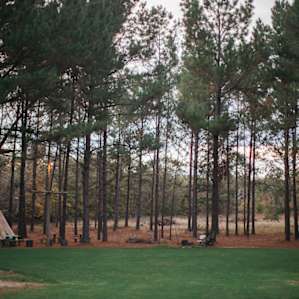 Campsites (you choose the site!) are all nestled in this gorgeous pine forest, in close proximity to the community area - a perfectly manicured lawn, kitchen/hangout area, and fire pit.