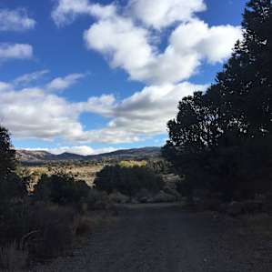 A view from an upper trail head