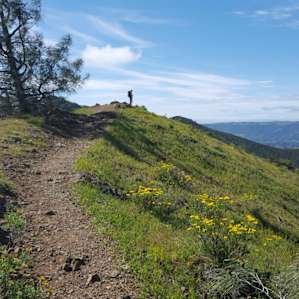 Juniper and Live Oak Campground