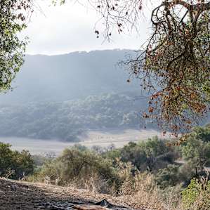 Middle Lion Campground
