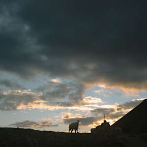 Goat at sunset. Less ominous than it might appear.