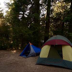 Our set up in the thick trees