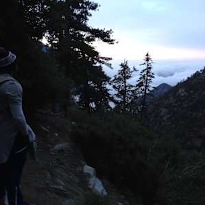 Over the marine layer on the Ski Hut Trail from the campground