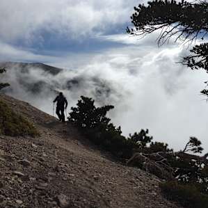 Ski Hut Trail near the summer