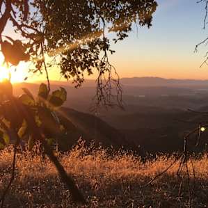 Ojai Mountaintop Treehouse