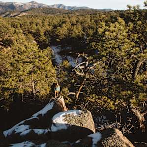 forest hiking activity