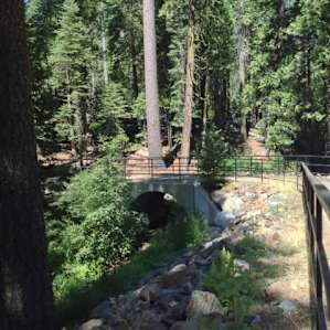 yellowjacket campground, eldorado, ca: 2 hipcamper reviews