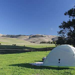 Rolling Hills