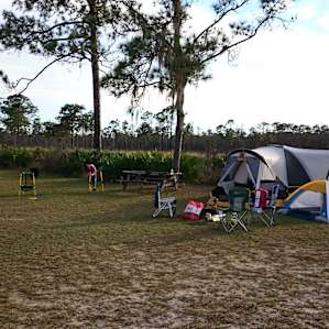 Highlands Hammock Campground