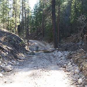 The road leading to the campsite. RVs? Good luck with that...