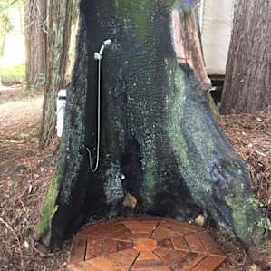 Enchanted Forest Yurt