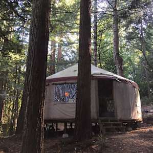 Enchanted Forest Yurt