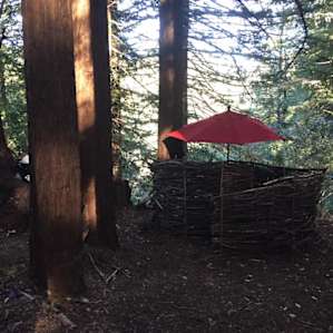 Enchanted Forest Yurt