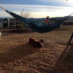 Reading before sunset