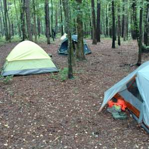 Yates Place Camp