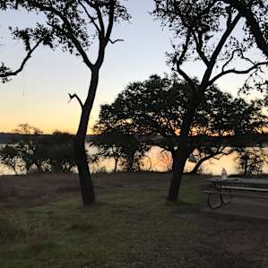Pace Bend Campground