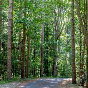 The entire campground is very nice and well maintained. There are also well-marked trails that lead to the waterfalls.