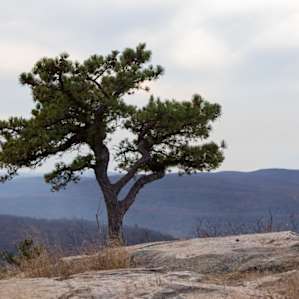 Excellent and rewarding hike up to Perkins Memorial at the top of Bear Mountain.