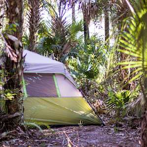Camp neighbors
