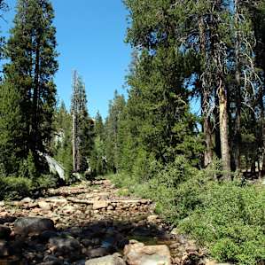 Yosemite Creek Campground