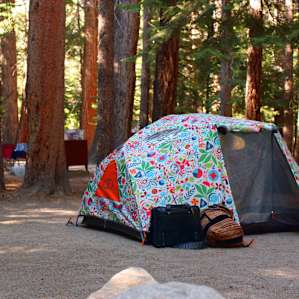 Big Bend Campground