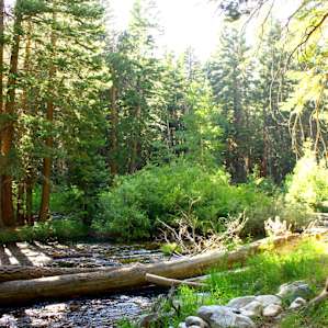 Big Bend Campground