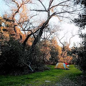 Group site 123 at sunset