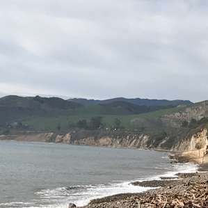 Looking North
