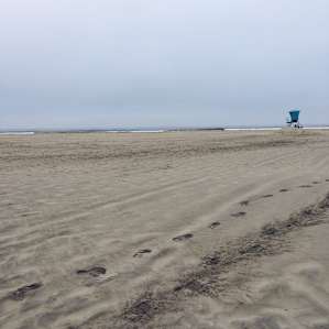 Make the trek over the dunes to the beach.. it's worth it.