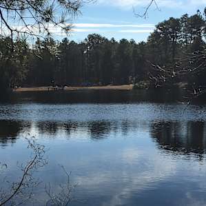 beautiful scenario! very tranquil and relaxing watching the ripples of the lake. Tim, the host, is very friendly and knowledgeable of his land. Very kind of him to offer the resources of the land for our use (firewood). This place is awesome!