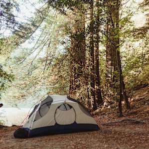 The best campsite among giant Redwoods and close to the river.