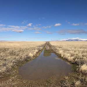 The final stretch of the road out to Sage Bush! It's been a really wet winter, so would recommend 4x4 until Spring rolls around and these primitive roads dry out.