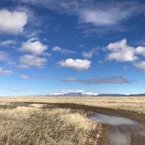 The uninterrupted, pristine views of the surrounding area.