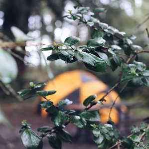 tent lodging