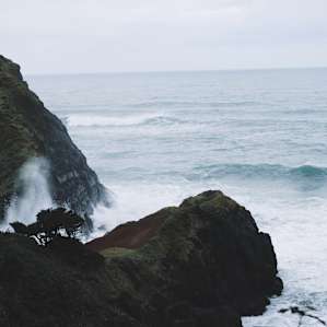 From Florence up the coast just gets wilder and wilder.