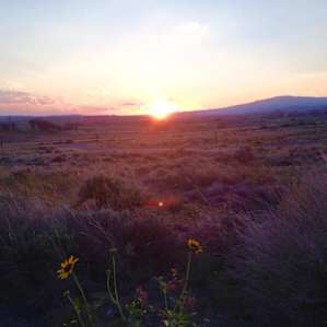 Sunset with Great Basin plants