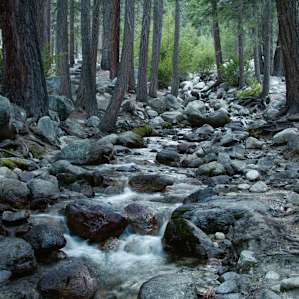 Mountain stream running through Whitney Portal, complete with trout!