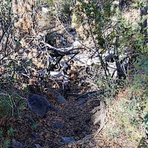 Stream at the beginning of the trail