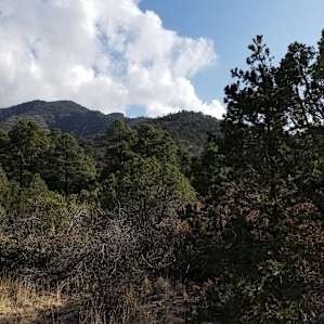 Beautiful views on the trail near the campsite.