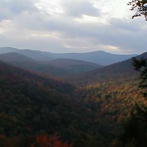 View from "Elm"