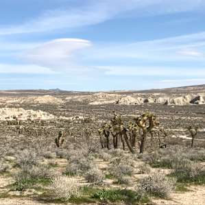 Ricardo Campground