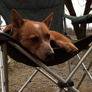 Buffalo Dream Ranch Camping