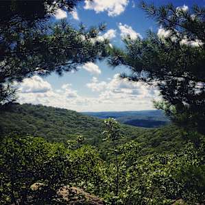 Harriman State Park