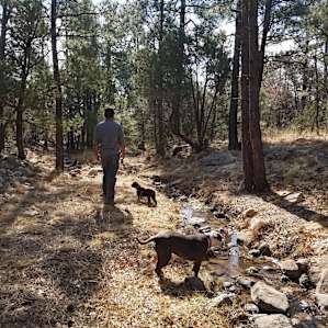 Baca Campground