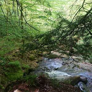 Beautiful hiking close by!