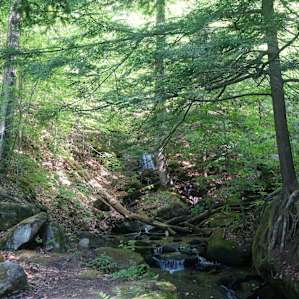Lots of hikes following streams/tributaries.